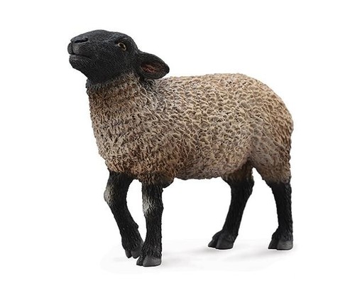 Collecta nip suffolk - *,