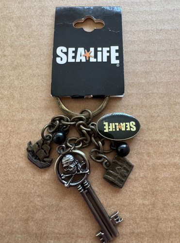 Sea life pirates - sea,