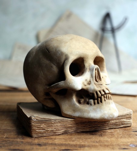 Antique french skull human - french,