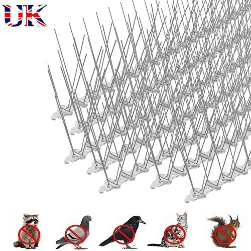 10m 20m pigeon - 10m, spikes