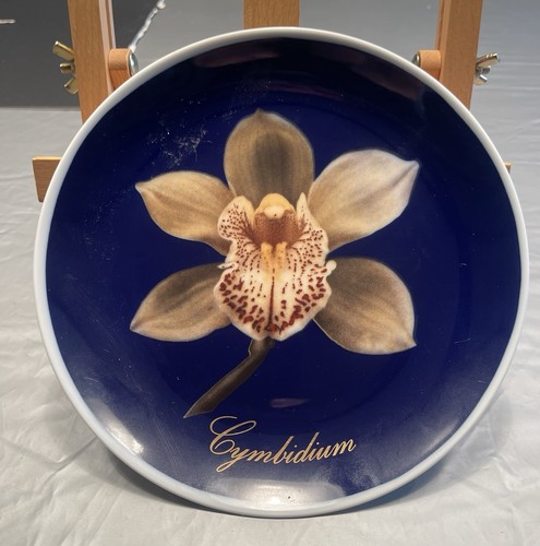 Cymbidium orchid plant - cymbidium, plate