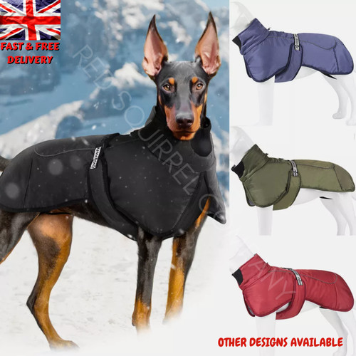Large dog winter raincoat - dog,