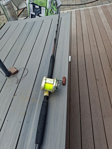 Penn international fishing - penn,