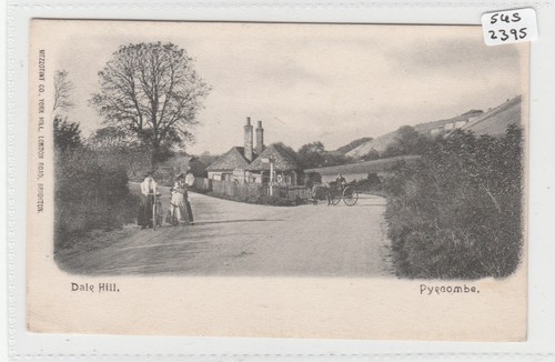Pyecombe sussex dale hill - pyecombe,