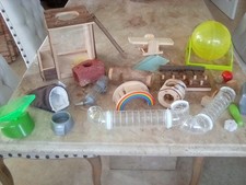 Gerbil toys and things