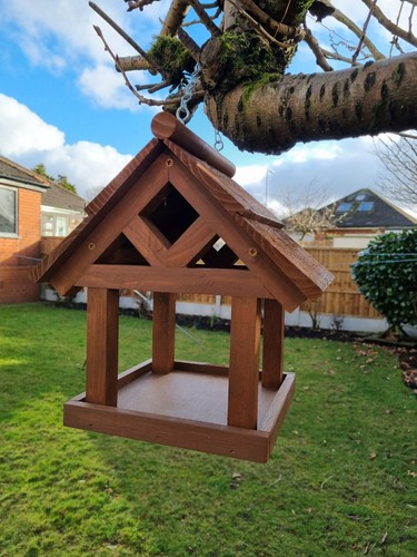 Bird table - bird,