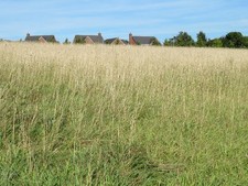 Photo 6x4 Dorset Crescent roof