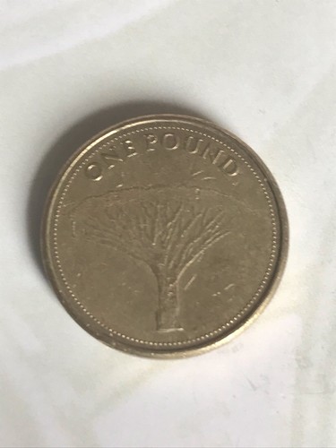 Gibraltar pound coin 2014 - gibraltar,