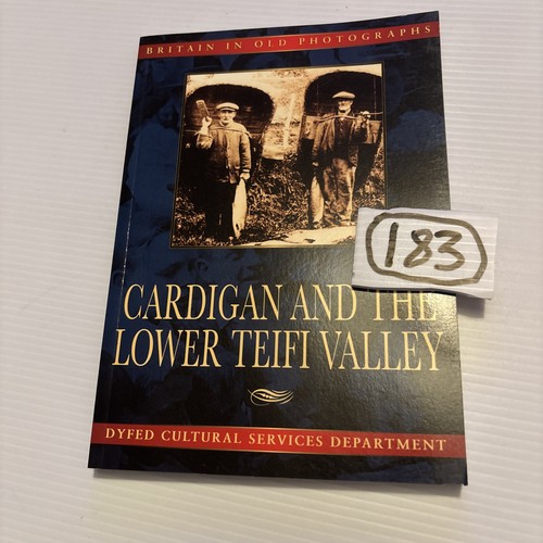 Cardigan and teifi - teifi, valley