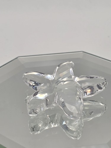 Swarovski crystal starfish - swarovski,