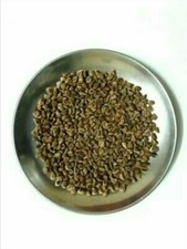25  Fresh  Rose flower Seeds