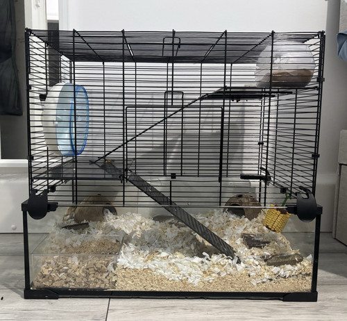 Pawhut tier hamster cage - hamster,