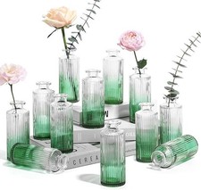 ComSaf Glass Bud Vases Set of