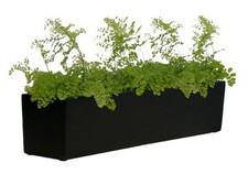 Primrose Fibreglass Window Box