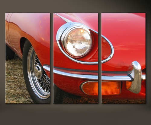 Red jaguar type - red, e