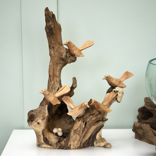 Teak root little - little, nesting