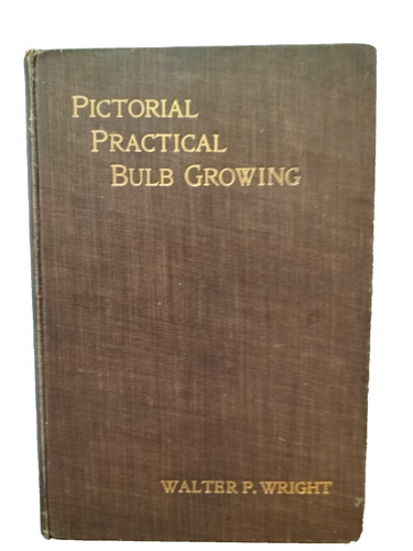 Pictorial practical bulb - pictorial,