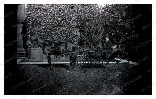 Massachusetts 1885 1899 horse - massachusetts, 1885-1899