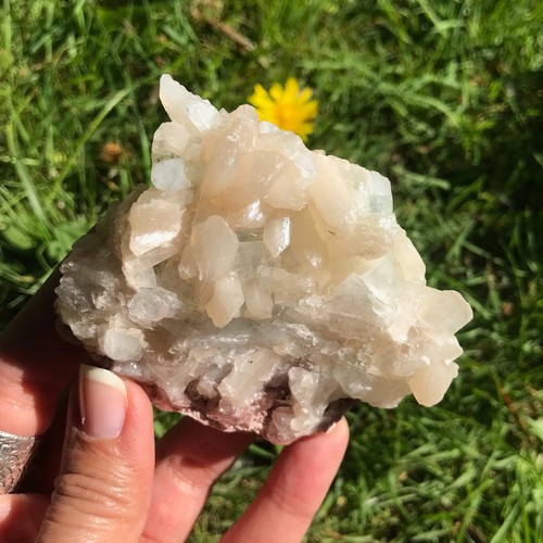 Stilbite apophyllite cluster - stilbite,