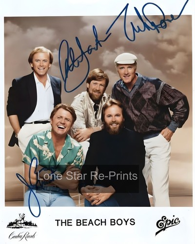 The beach boys - beach,