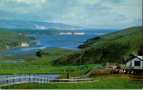 Drakes estero limantour spit - limantour,