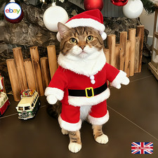 Pet Dog Cat New Year Costume