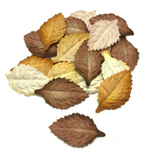 Browns Mix Large Mulberry