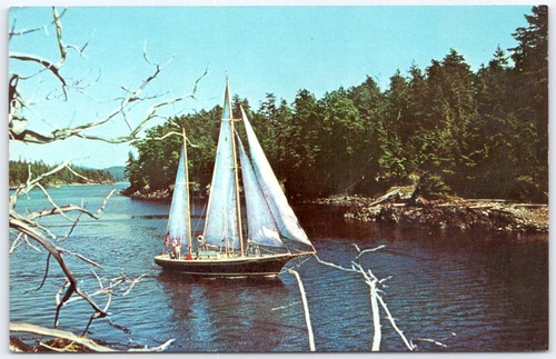Postcard san juan islands - postcard,