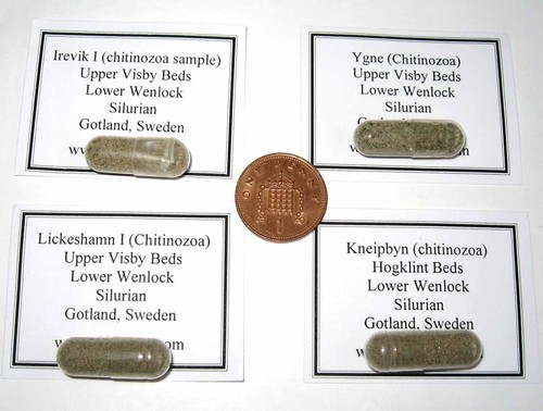 Silurian gotland chitinozoa - silurian,