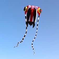 T- 3D Kite For Kids& Adults