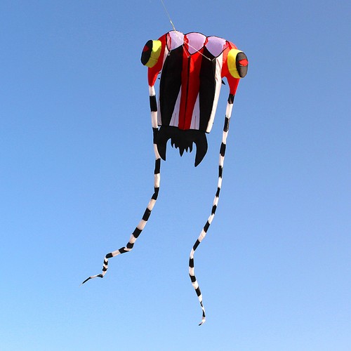 Kite for kids adults - kids&,