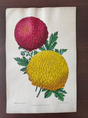 Antique original hand - antique,