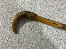 Rams Horn Handle walking stick