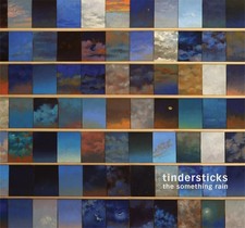 Tindersticks The Something Rain (Vinyl) 12" Album