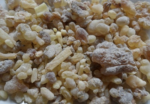 Frankincense boswellia sacra - frankincense,