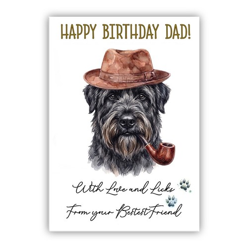 Bouvier des flandres - des,