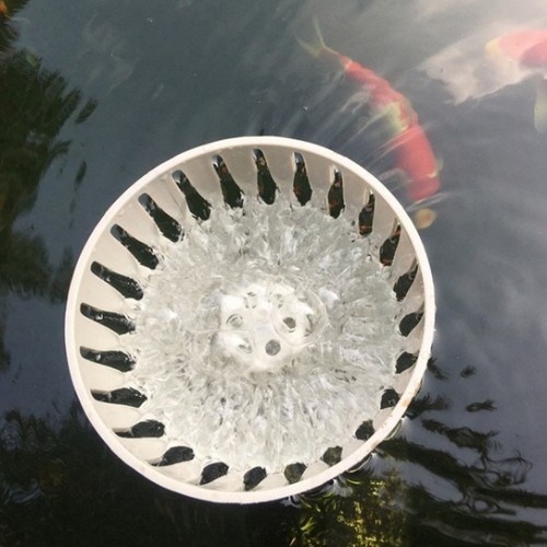 Pond drain skimmer for - drain, koi