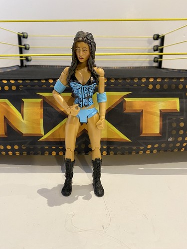 Wwe candice michelle - wwe,