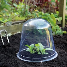 Bell Cloches Garden Protection