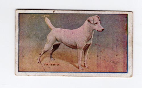 Sniders abrahams dogs card - sniders, &