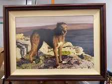 Steven Townsend - Bella