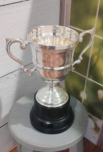Trophy silver metal - silver,