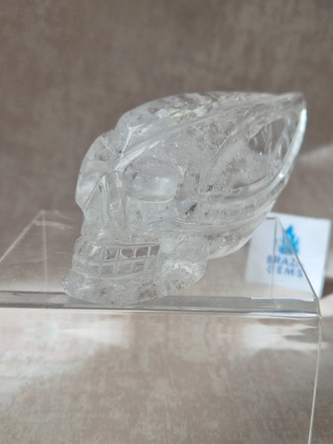 Traveller skull lemurian - skull,
