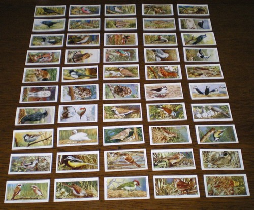 Set players wild birds 1928 - players,