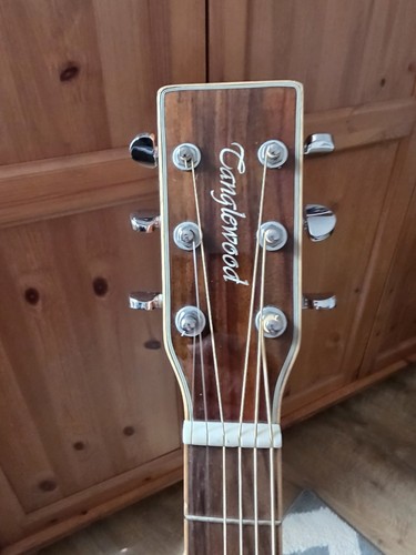 Tanglewood evolution tw28 csn - evolution,