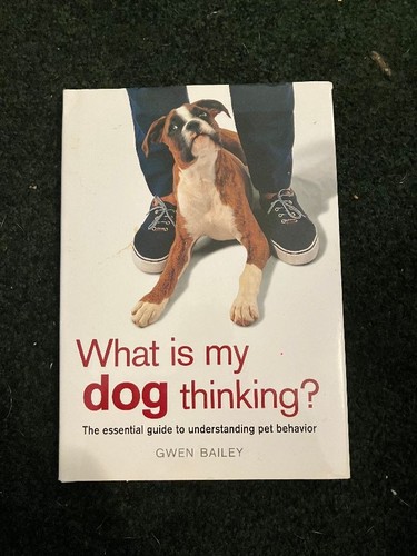 What dog thinking - is,