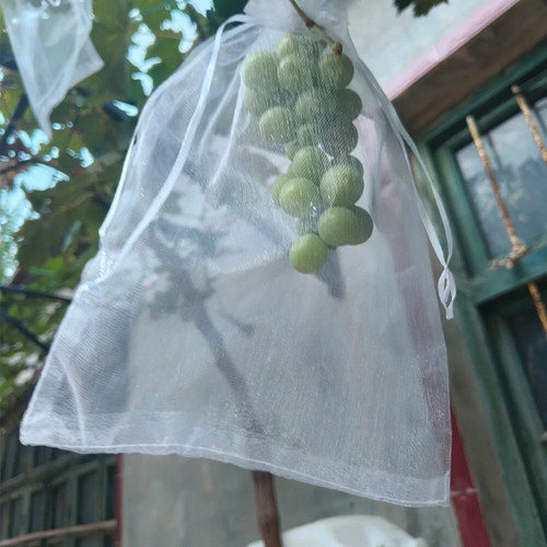 100pcs grape fruit netting net - netting,
