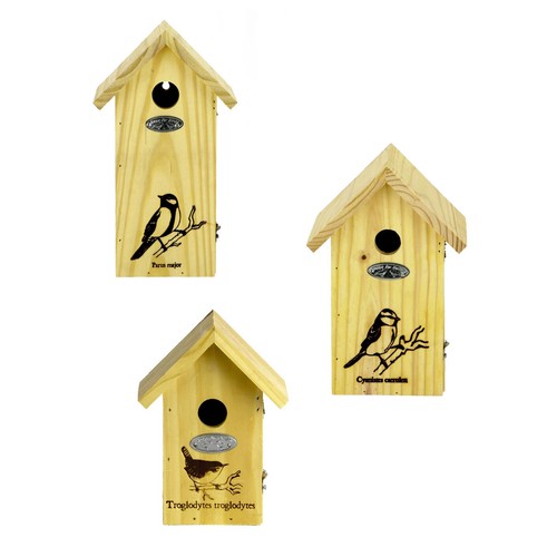 Wooden small bird - bird, house