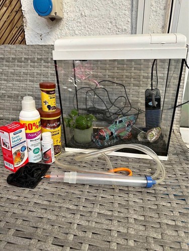 Fish tank aquarium complete - fish,