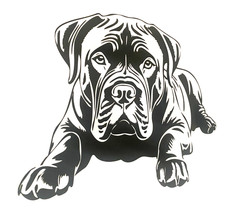 1x Cane Corso Dog Decal Vinyl Sticker Laptop Window Car Camper Glass 7x5.5inch